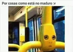Enlace a Me estoy riendo solo en el bus