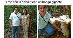 Enlace a ¿Qué hace más ilusión?