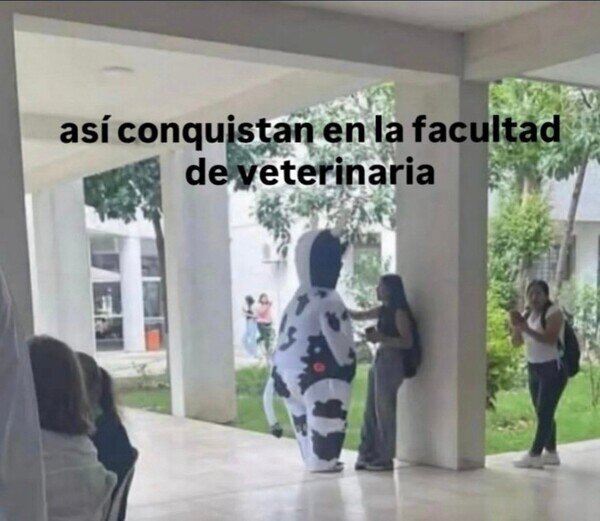 Meme_otros - Son sus costumbres