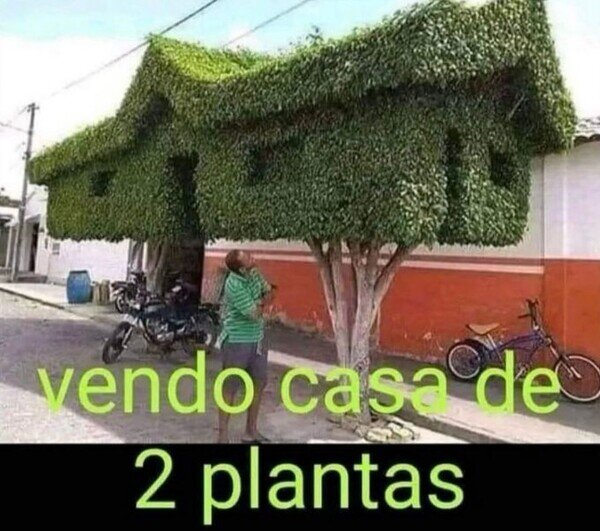 vender,casa,plantas