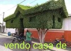 Enlace a No mentí en el anuncio