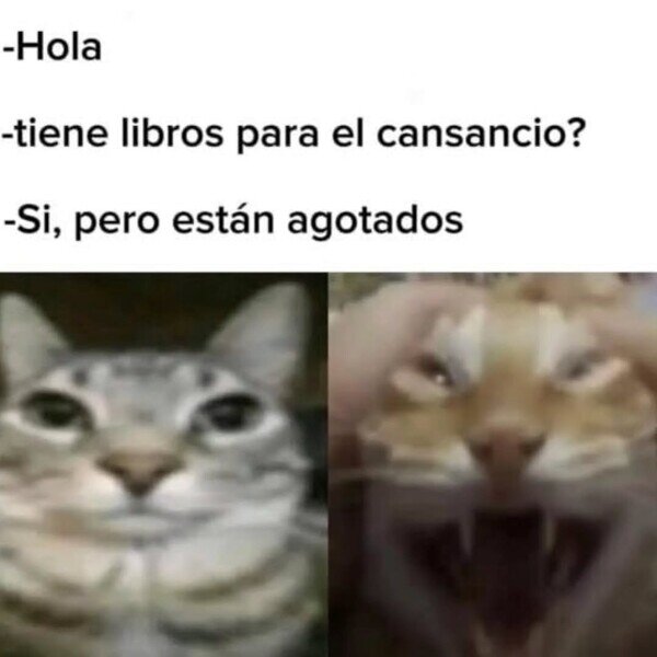 Meme_otros - El de la librería ha hecho ese chiste 40 veces