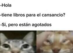 Enlace a El de la librería ha hecho ese chiste 40 veces