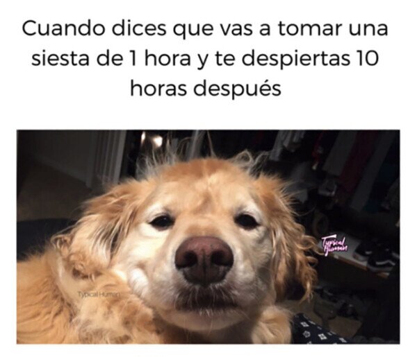 Otros - No sé ni en qué planeta vivo...