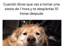 Enlace a No sé ni en qué planeta vivo...