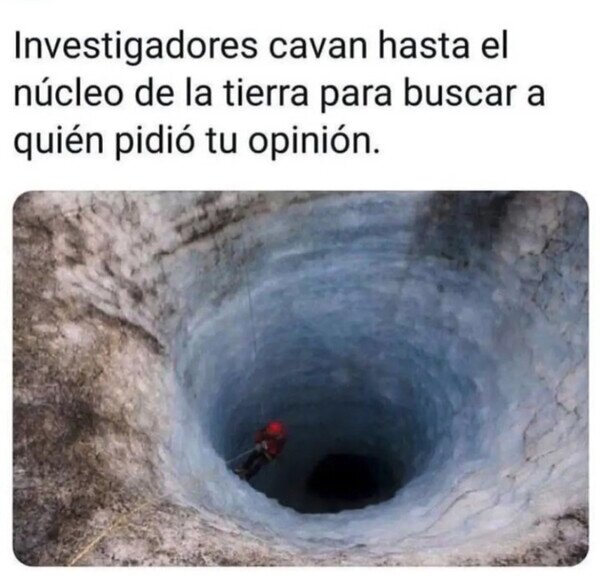 investigar,cavar,preguntar,opini&oacute;n