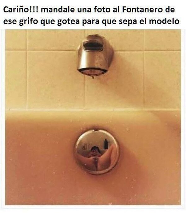 Meme_otros - Foto para el fontanero