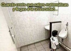 Enlace a En realidad no sabes nada