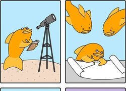 Enlace a El espacio para los peces