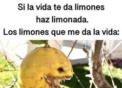 Enlace a Limones del Averno