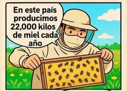 Enlace a ¿Quién la produce?