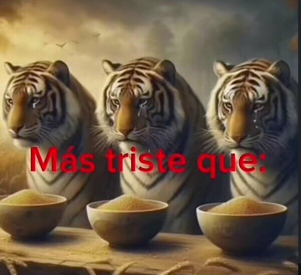 Meme_otros - Estoy peor que estos tres