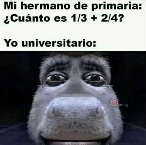 matem&aacute;ticas,fracciones,universidad