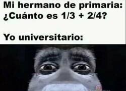 Enlace a Ha ido a pillar