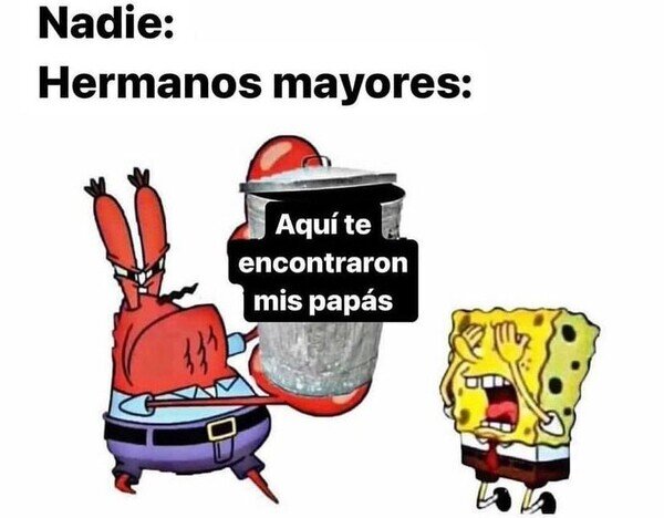 Meme_otros - Lo que peor sienta a los hermanos pequeños ñ