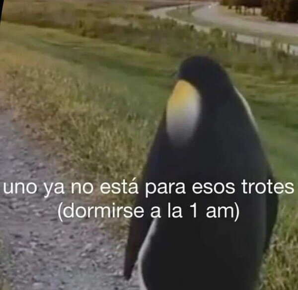 Meme_otros - Uno ya tiene una edad
