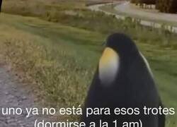 Enlace a Uno ya tiene una edad