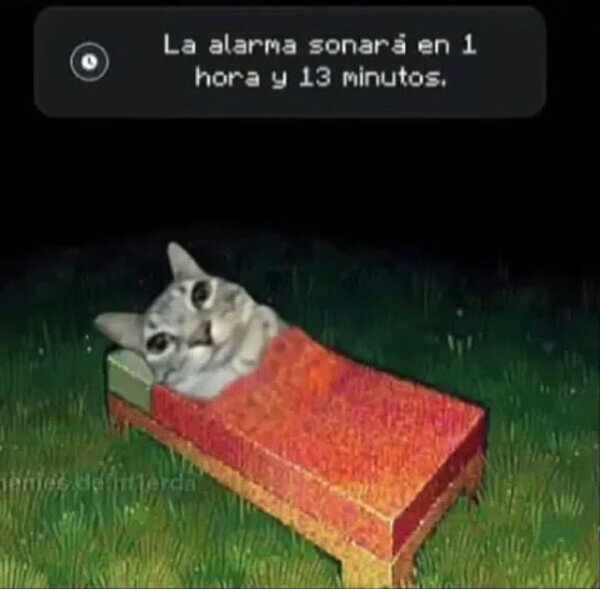 Otros - Sabes que el día siguiente será duro cuando...