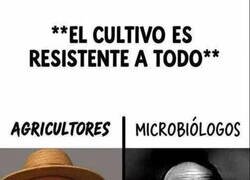 Enlace a Depende del contexto