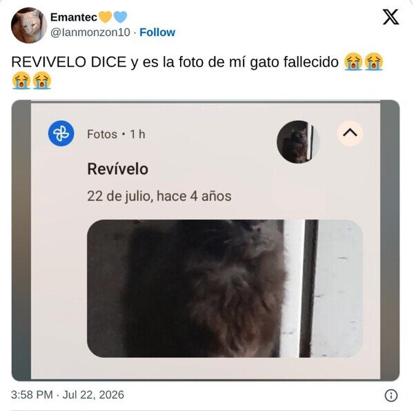 Otros - Google lo hace a propósito