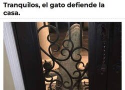 Enlace a Confío en el Misifú
