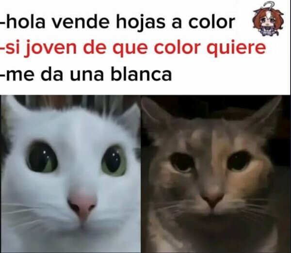 Otros - También es un color