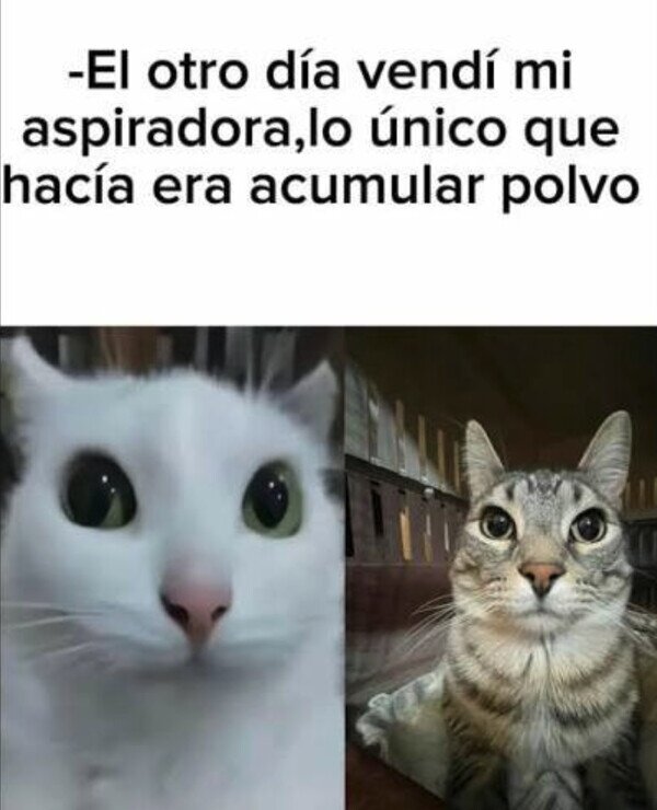 Meme_otros - Pa' eso están