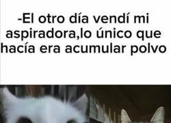 Enlace a Pa' eso están