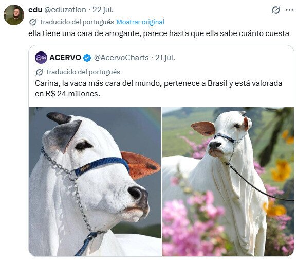 Meme_otros - Se sabe valiosa