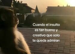 Enlace a Mis dieces
