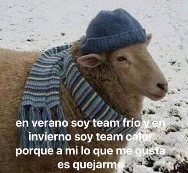 quejarme,team frio,team calor