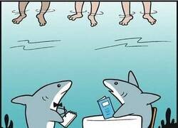 Enlace a El menú de los tiburones