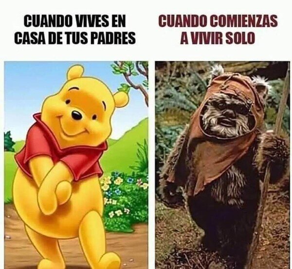 Meme_otros - Parece meme pero es la realidad