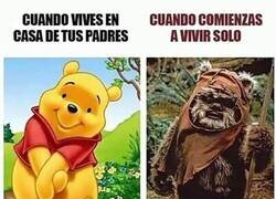 Enlace a Parece meme pero es la realidad