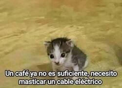 Enlace a Con el café no basta