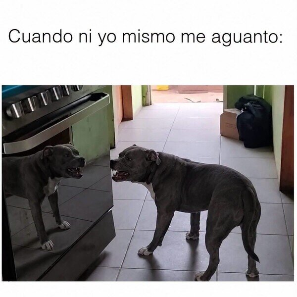 Otros - Soy insoportable