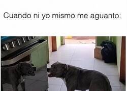 Enlace a Soy insoportable