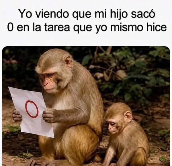 Meme_otros - Alguien tiene que regresar a la primaria y no es el niño, por @RincnCuriosoo