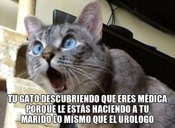 Otros - Su cara es todo trauma