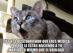 Enlace a Su cara es todo trauma