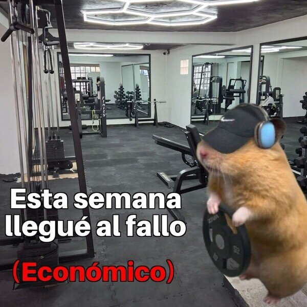 Meme_otros - Me voy a poner todo mazado