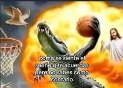 Enlace a Era espectacular pero...