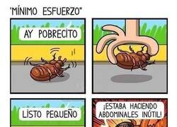 Enlace a No los toquéis, si no no se pondrán fuertes