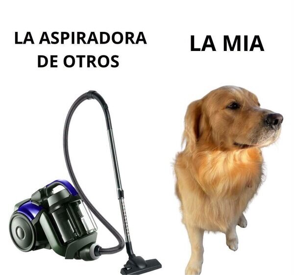 Meme_otros - Mi perro es básicamente una aspiradora con patas y ansiedad por comer