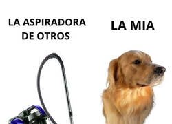 Enlace a Mi perro es básicamente una aspiradora con patas y ansiedad por comer
