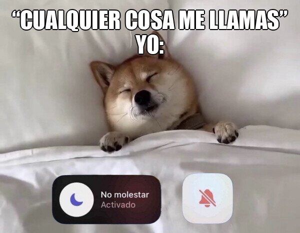 Meme_otros - Modo no molestar activado, que se jodan