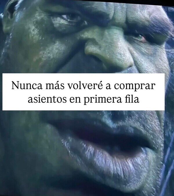 Meme_otros - Y luego te das cuenta de que pagaste 40 euros por estar viendo las cabezas de la gente toda la peli, por @capturebizarre
