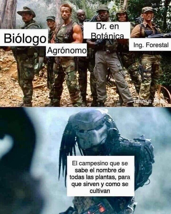 Meme_otros - ¿Para qué tantas carreras?