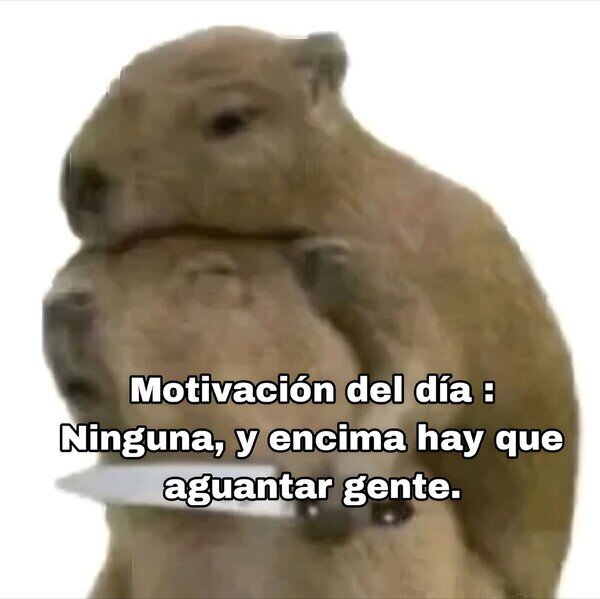 Meme_otros - Cuando tu jefe dice que hoy es día de motivación personal pero tú tienes 47 tareas pendientes, por @Animalesaprieto
