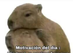 Enlace a Cuando tu jefe dice que hoy es día de motivación personal pero tú tienes 47 tareas pendientes, por @Animalesaprieto